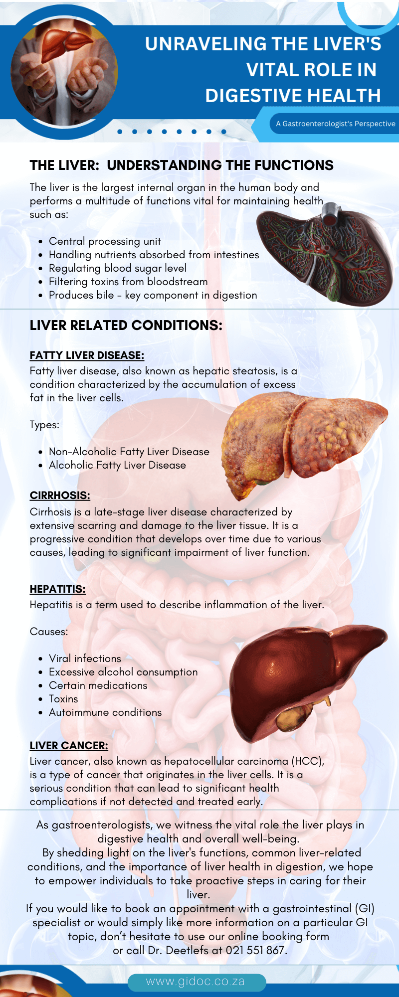 the_liver's_vital_role_in_digestive_health_infograph