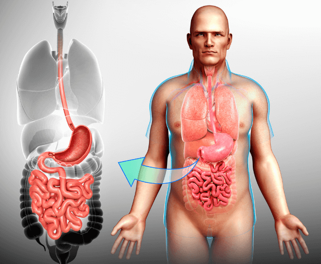 common_gastrointestinal_disorders