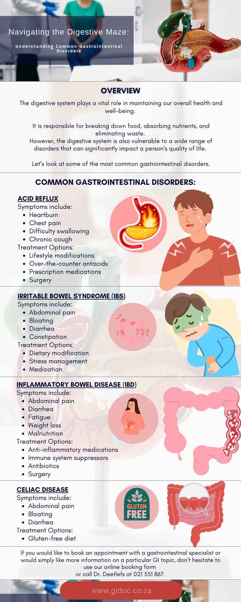 digestive_maize_infographic