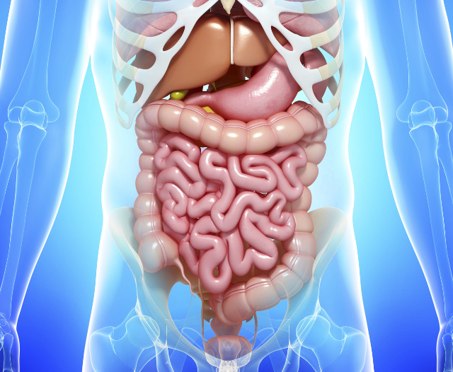 gastrointestinal_tract_dilation